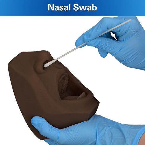 SimCoach Nasal Swab and Throat Swab Test Training Model, Swab Collection Simulator for Practice (Black)