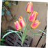 Tulip Lawn Lamp Outside Solar Lights, Outdoor Lawn Light Garden Stake Light, Solar Powered Lights for Outdoor Lawn