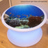 TickiT Under the Sea Discovery Play Mat - Semi-Translucent, Underwater Landscape - For All Ages - Light Table Accessory