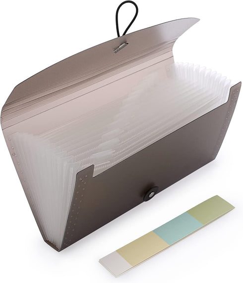 BTSKY Expanding File Folder - 13 Pockets Small Accordion File Folder for Check Bill File Storage (Coffee Translucent)
