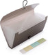 BTSKY Expanding File Folder - 13 Pockets Small Accordion File Folder for Check Bill File Storage (Coffee Translucent)