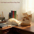 Nuoyunova 2026 12 Cat Desk Calendar for Lovers: Cute & Funny Two-Sided Theme Desk Calendar with Monthly Adorable