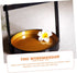 Cabilock Plastic Sushi Serving Tray Handle Sushi Dish for Parties and Gatherings Easy to Clean Food Display Plate
