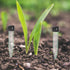 Haiyou 50pcs Floral Water Vials for Fresh Flowers Hydroponic Container Tubes for Easy Flower Arrangements Single Stem