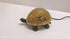 Brown Glass Turtle Night Light - Perfect for Study or Garden