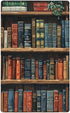 MengJZone Classic Wall Plates, library bookshelf book, Light Switch covers, Electrical Outlet Covers,
