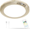 Battery Operated LED Celling Lights Fixture with Auto Motion Sensor, Smart Body