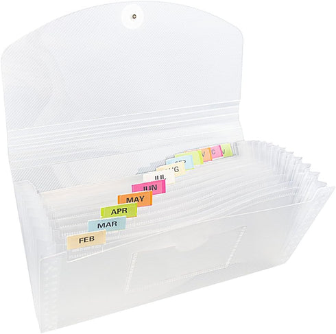 JAM PAPER Accordion Folders, 13 Pocket Plastic Expanding File, Check Size, Clear, Sold Individually