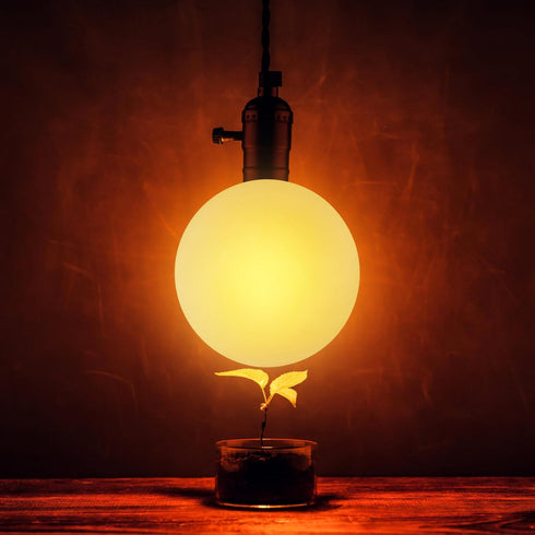 5.90 Inch Kichvoe Frosted Acrylic Globe Lampshade Replacement Round Ball Lamp Cover for Wall Lamp Post Light Pendant