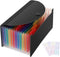 Uquelic Stand Receipt Organizer Folder - 13 Pockets Expanding Coupons Storage/Rainbow Large Capacity Bill Organizer for