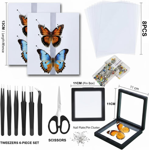 Dddzerong (5in Butterfly Specimen Kit Includes pins, mounting Board, Spreading Tools, Display case, Labels, Forceps