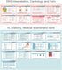 56 Set Nursing Scrubnotes by Medical Basics - Nursing Badge Reference Card - Nursing School Essential Cheat Sheets