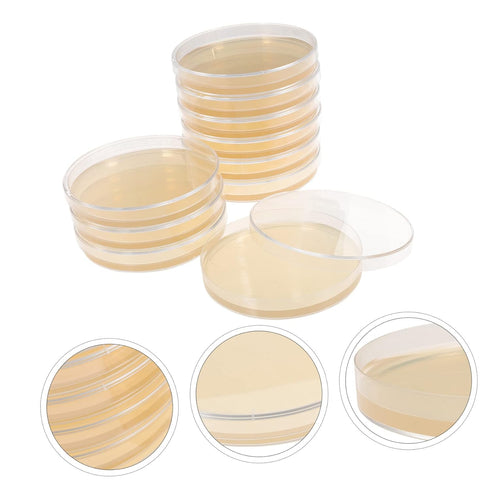 Agar Plates 10pcs Nutrient Agar Plates, Borosilicate Glass Petri Dishes for Plastic Plants Laboratory Round Colombia