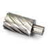 Annular Cutter JESTUOUS 3/4 Inch Weldon Shank - 1-1/2 Cutting Diameter with Two-Flat HSS Kit