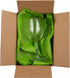 Packing 12" 328' 328 80 JAM PAPER Honeycomb Paper Roll - x - Emerald Green - Sq Ft - GSM - Roll Sold Individually