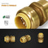 Everflow Supplies UPFC12 1/2 Inch Long Push X Female Adapter for Push-Fit Fittings, No Lead DZR Forged Brass