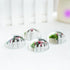 4Pcs 1.9inch Set QFkris Crystal Dome Magnifying Paperweight, Clear Distortion-Free Optics Convex Lens for Physics