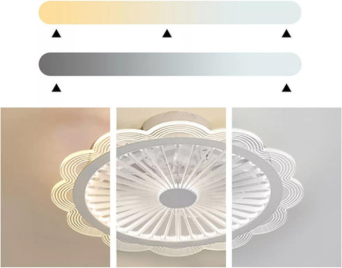 19.7" 3 LYNICESHOP LED Ceiling Fan Light with Remote, Color Temperatures & Speeds, Chandelier Lamp Fan