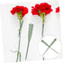 25pcs KALLORY Tubes for Fresh Flowers Lightweight Water Tubes for Florist Arrangements for Roses Carnations
