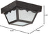 SF77/863 Nuvo Poly Frame Carport Flush Mount with Frosted Acrylic Panels, Black, Small