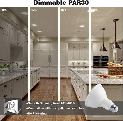 PAR30 LED Flood Light Bulbs, Long Neck, 5000K Daylight, Dimmable, 75W Halogen Equivalent, 12W E26, 1300LM, 4-Pack
