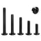25 PCS Assortment Kit of 1/4-20 Flat Head Socket Head Screws, Stainless Steel 18-8 (304), Black Finish, Fully Threaded