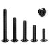 25 PCS Assortment Kit of 1/4-20 Flat Head Socket Head Screws, Stainless Steel 18-8 (304), Black Finish, Fully Threaded