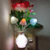 AUSAYE Sensor LED Night Light Plug-in Nightlight, Color Changing Lamp Rose Flower Mushroom Night Light for Kids Adults