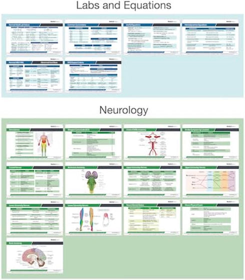 76 Set Medical Reference Card - Medical Scrubnotes by Medical Basics - ID Badge Cards for med Students, Residents, NP
