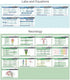 76 Set Medical Reference Card - Medical Scrubnotes by Medical Basics - ID Badge Cards for med Students, Residents, NP