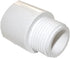 LASCO 15-1643 PVC Hose Adapter, 3/4-Inch Male Hose Thread & PVC Pipe Glue Connection, White