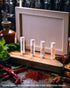 EISCO Super Taster Test Kit, PTC Paper Strips with Biodegradable Box & Instructions, 100 Strips Each