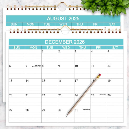 Calendar 2025-2026 Wall Calendar, Runs from Aug 2025 to Dec 2026, 17 Monthly Planner, 8.5 x 11 In
