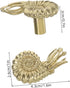 MAGICLULU Vintage Brass Nautilus Shape Drawer Pull Solid Brass Cabinet Handle for Cabinets and Bedside Tables Unique