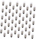50pcs Small Bulbs Science Experiments Electricity Kit Round Light Bulbs Science Kit