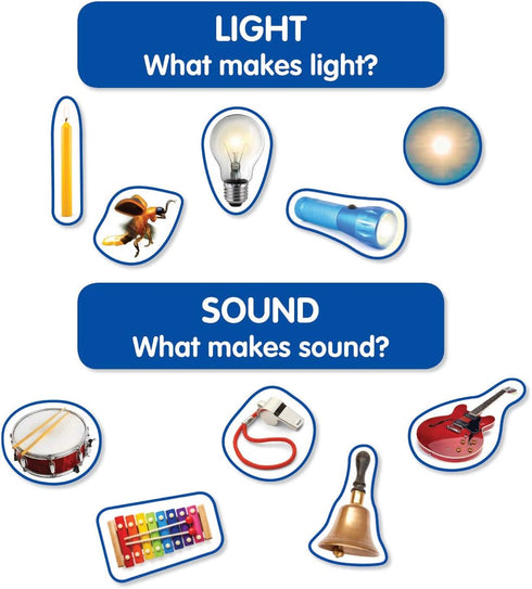 Early Science Concepts Bulletin Board