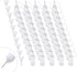 Adecco Precision Tip Applicator Bottle, 50 PCS 15ml Glue Applicator Bottles with 10 Plastic Funnels for Acrylic Painting
