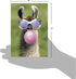 The Best Card Company Birthday Greeting Card - 5 x 7 Inch Envelope, Bday Balloon Llama Design