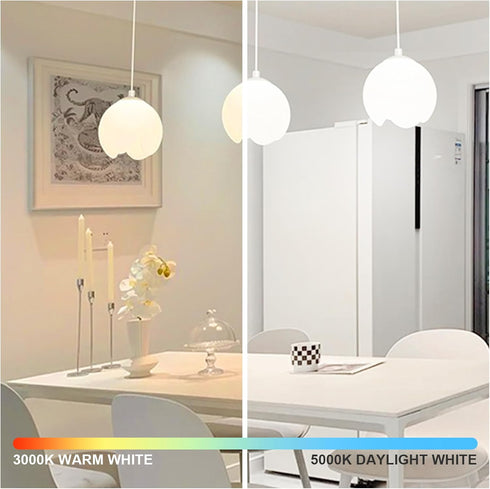 6-Pack 14W LED Dimmable Light Bulbs, 100 Watt Equivalent, A19 1500LM Warm White 3000K for Indoor Kitchen Office