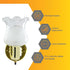 4.5 Inch 60W E26 (Bulb Diodesy- Vintage Wall Sconce Tulip Glass Shade Fixture Max Socket Not Included) Modern Flower