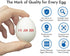 Egg Dater KIT, Includes 3mm Rubber Date Stamp and Ink Pad with Egg Safe Ink - RED