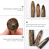 10pcs Paleontology Belemnite Specimen Science Ornament for Laboratory Supply