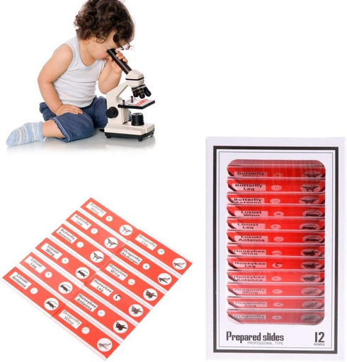 Prepared Microscope Slides for Kids, 48pcs Plastic Animals Insects Plants Flowers Sample Specimens for Homeschooling