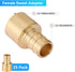 (Pack of 25) 1/2 x 1/2 Inch PEX Female Sweat Adapter, Brass Copper PEX Fitting Adapters, Stress Corrosion Cracking