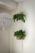 20 Pack 2.2 Inch PlusRoc Ceiling Hooks for Hanging Plants Outdoor String Lights Heavy Duty, Eye Hook Screw in Cup Hooks