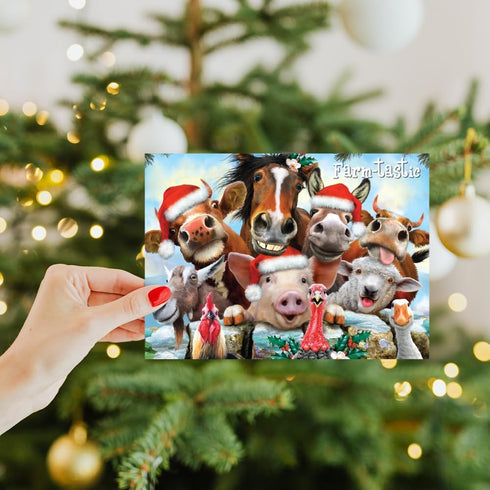 Tree-Free Greetings Season's Greeting Cards, 10 Cards + Envelopes, 100% Recycled Paper, Made in USA