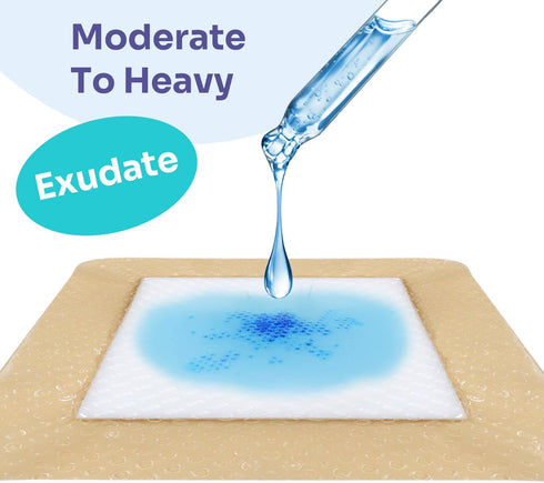 Conkote Silicone Bordered Foam Dressing 2‘’x 5‘’, Water-Resistant & Comfortable, Box of 10 Dressings