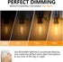 BORT Dimmable LED Edison Bulbs, 6W Equivalent to 60W, E26 2700K Vintage Light Bulbs, 6 Pack