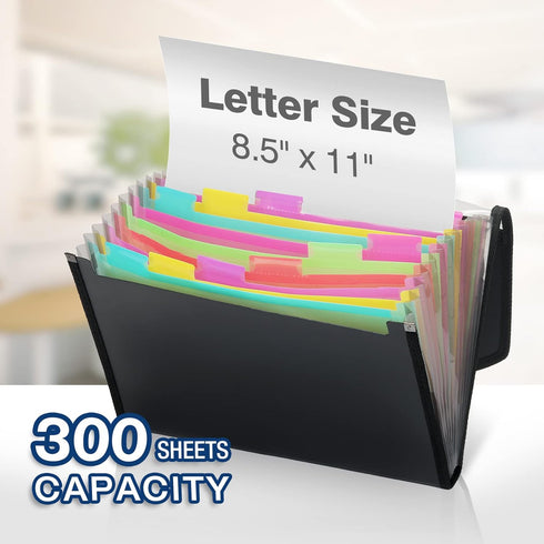 H4D Accordion File Keeper, 13 Pocket Expanding File Folder Organizer for Documents, 2 Packs