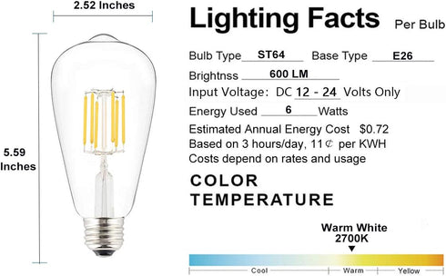Low Voltage DC 12V/24V 6W LED Bulb, Edison Style ST21 Antique Shape, Warm White Light, 600LM, 3-Pack